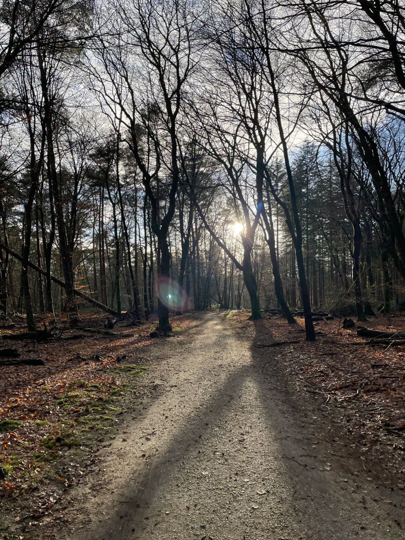 Oudejaarstocht Gravel tocht 2025