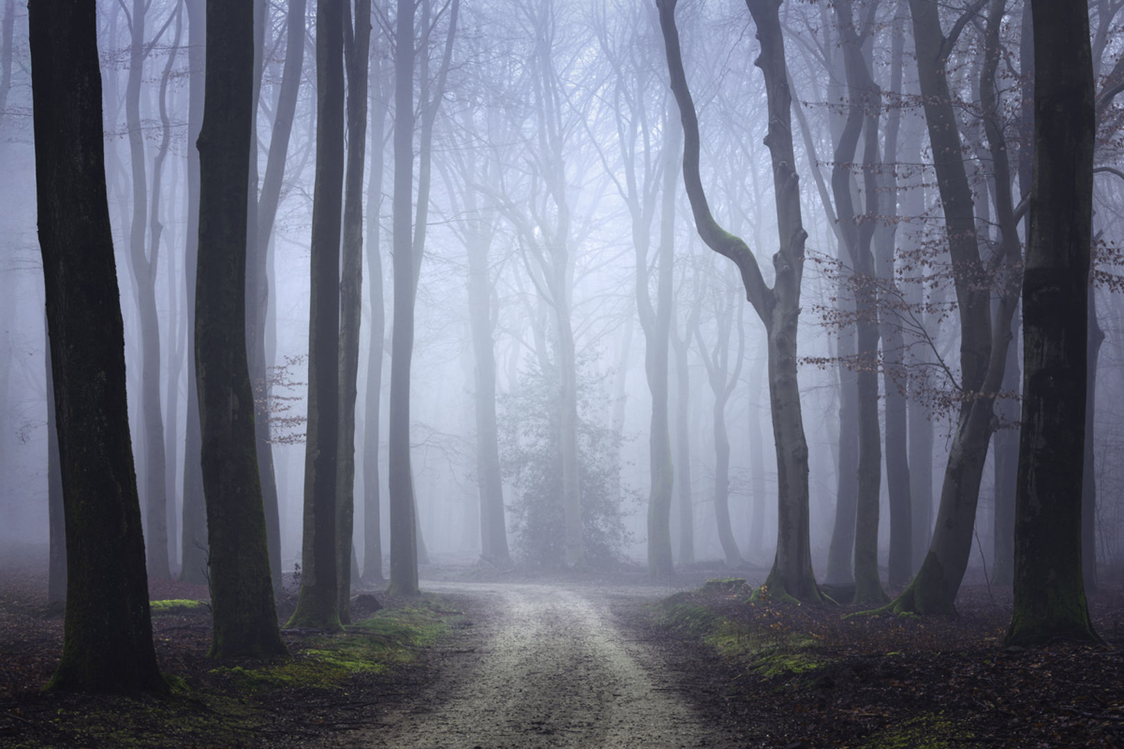 Speulderbos winter graveltocht 2028