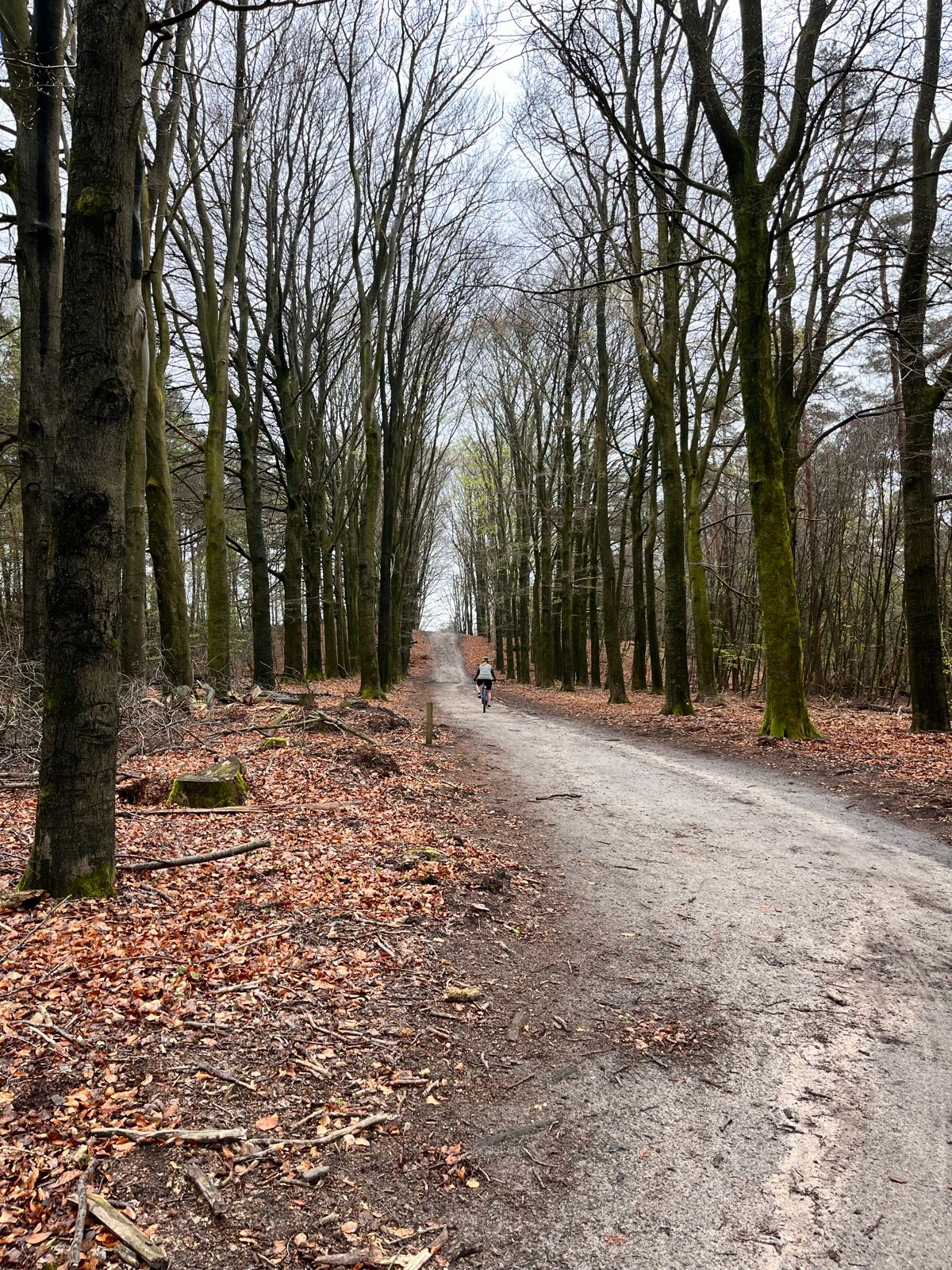 Kootwijks Mooiste Graveltocht 2026