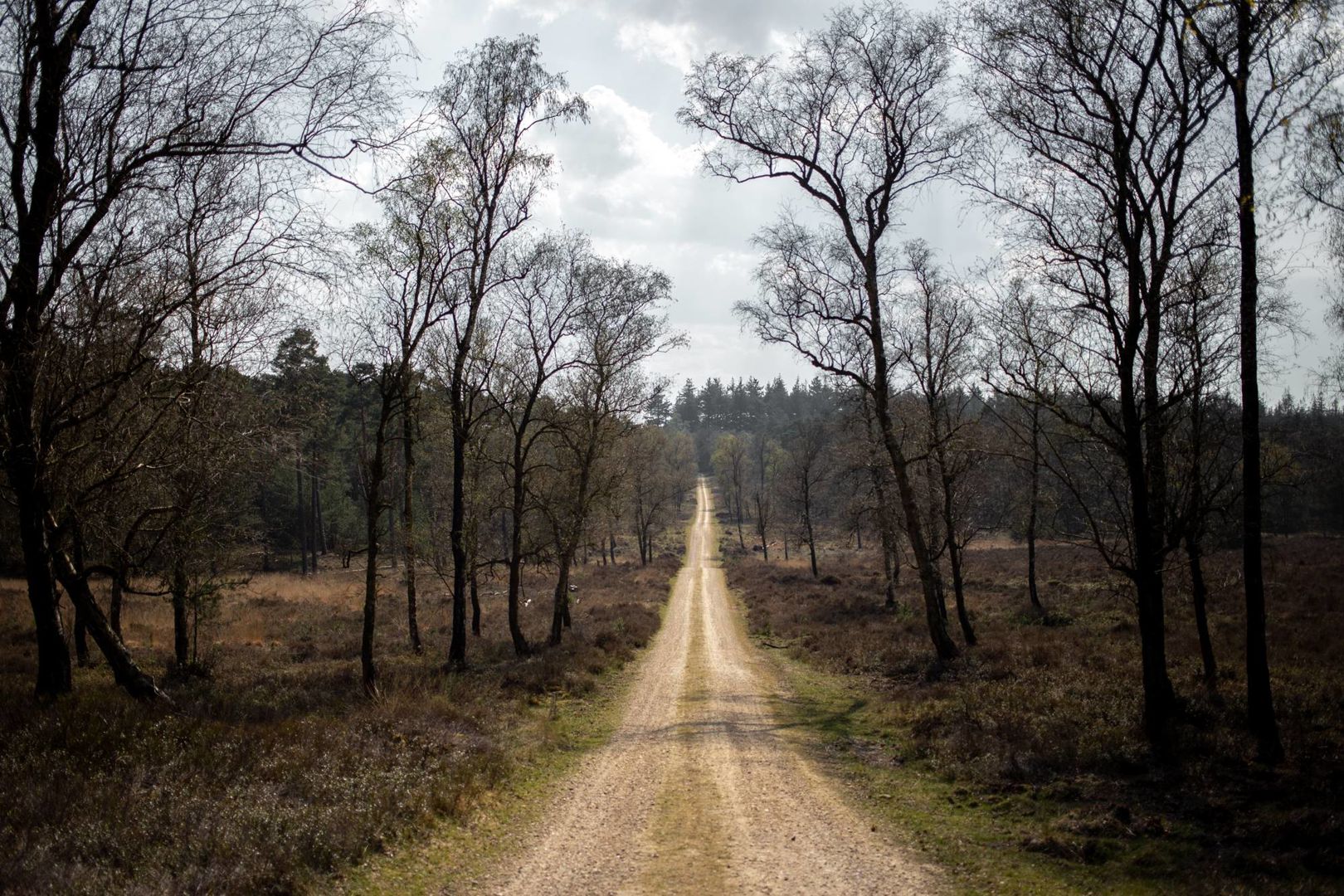 Veluws Mooiste graveltocht