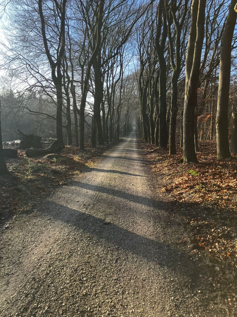 Kootwijks Mooiste Graveltocht 2026