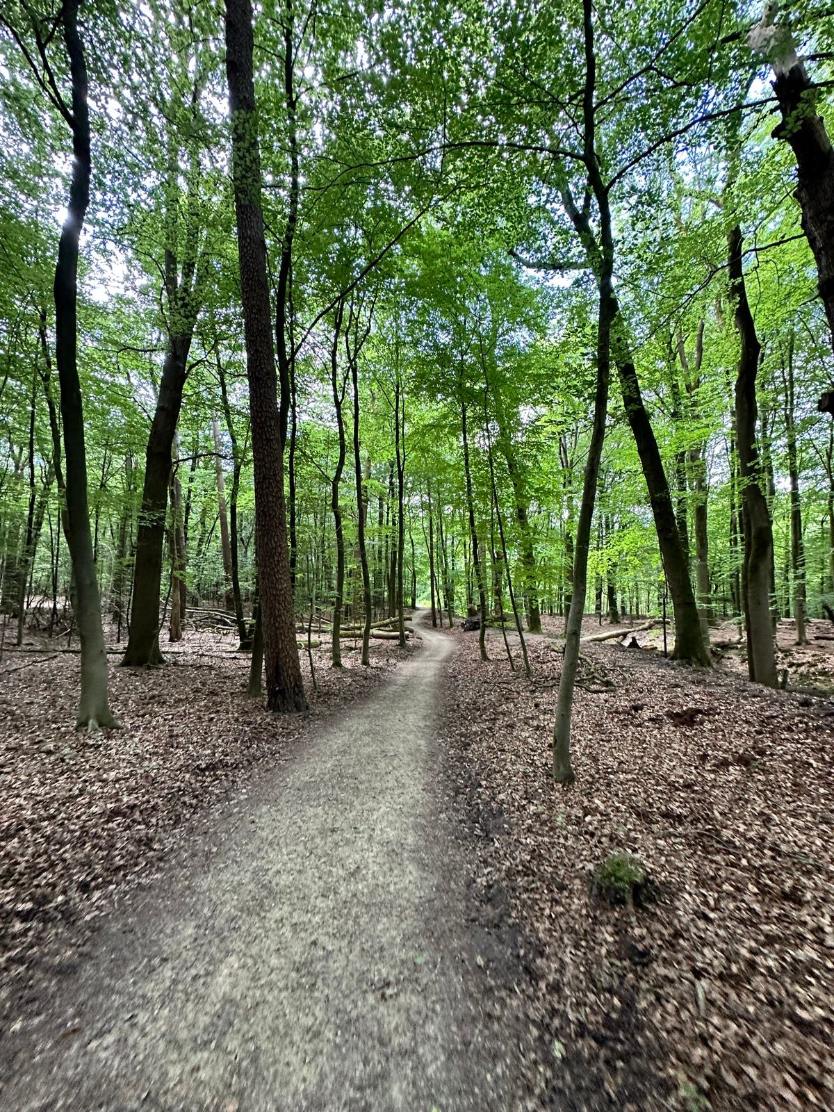 Oudejaarstocht MTB en Gravelride 2024