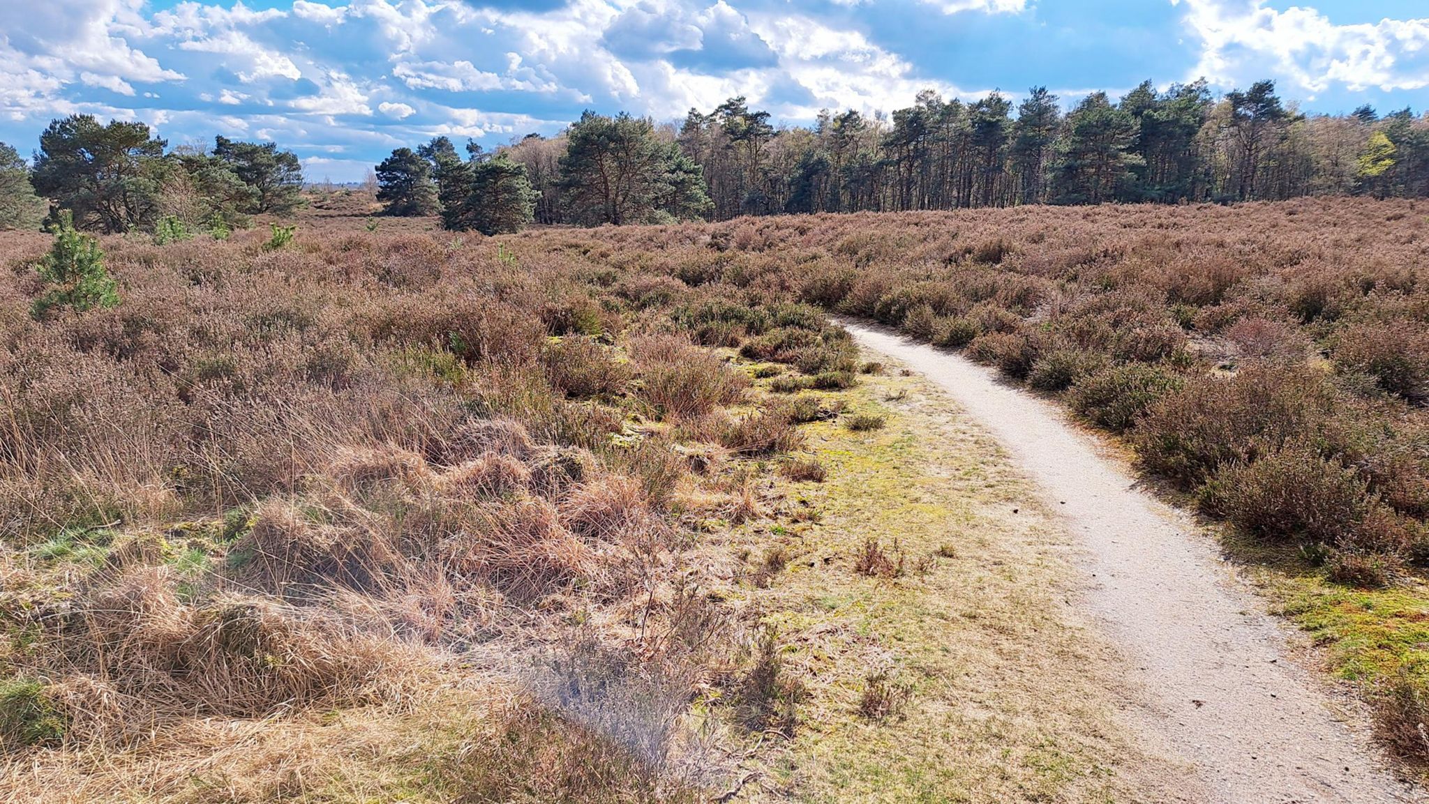 Oudejaarstocht MTB en Gravelride 2024