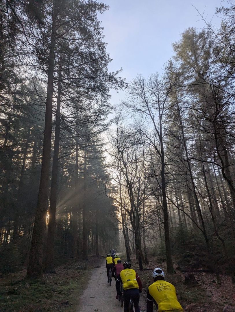 Speulderbos winter graveltocht 2028