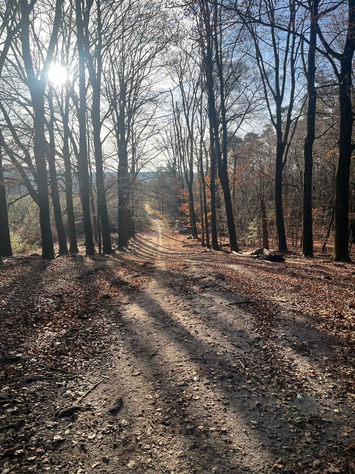 Kootwijks Mooiste Graveltocht 2026