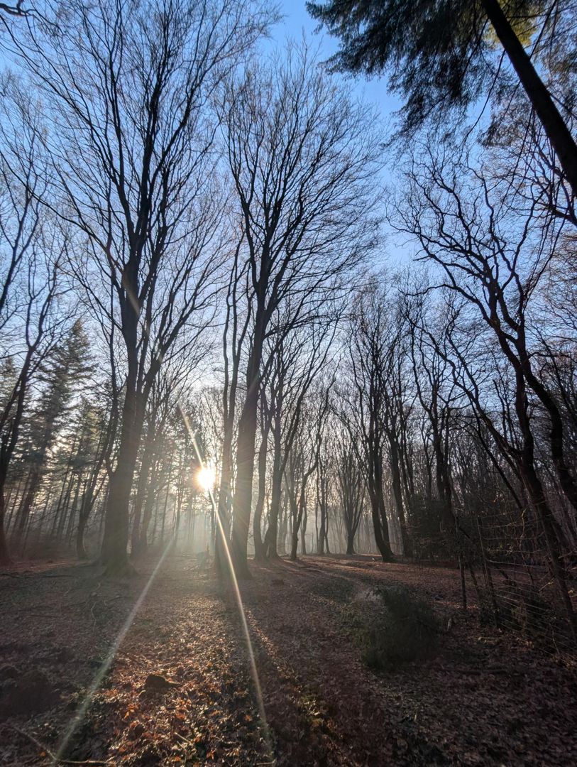 Speulderbos winter graveltocht 2028
