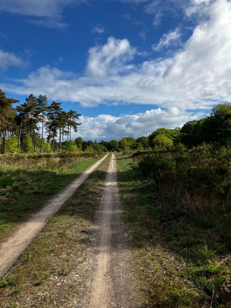 Veluws Mooiste graveltocht