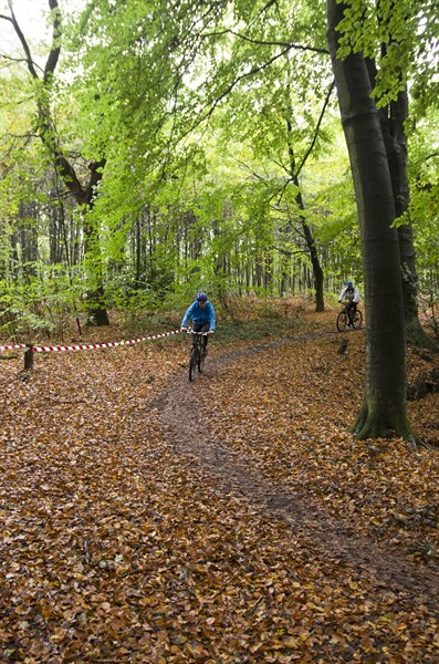 AVIKO Kruisbergtocht 2024