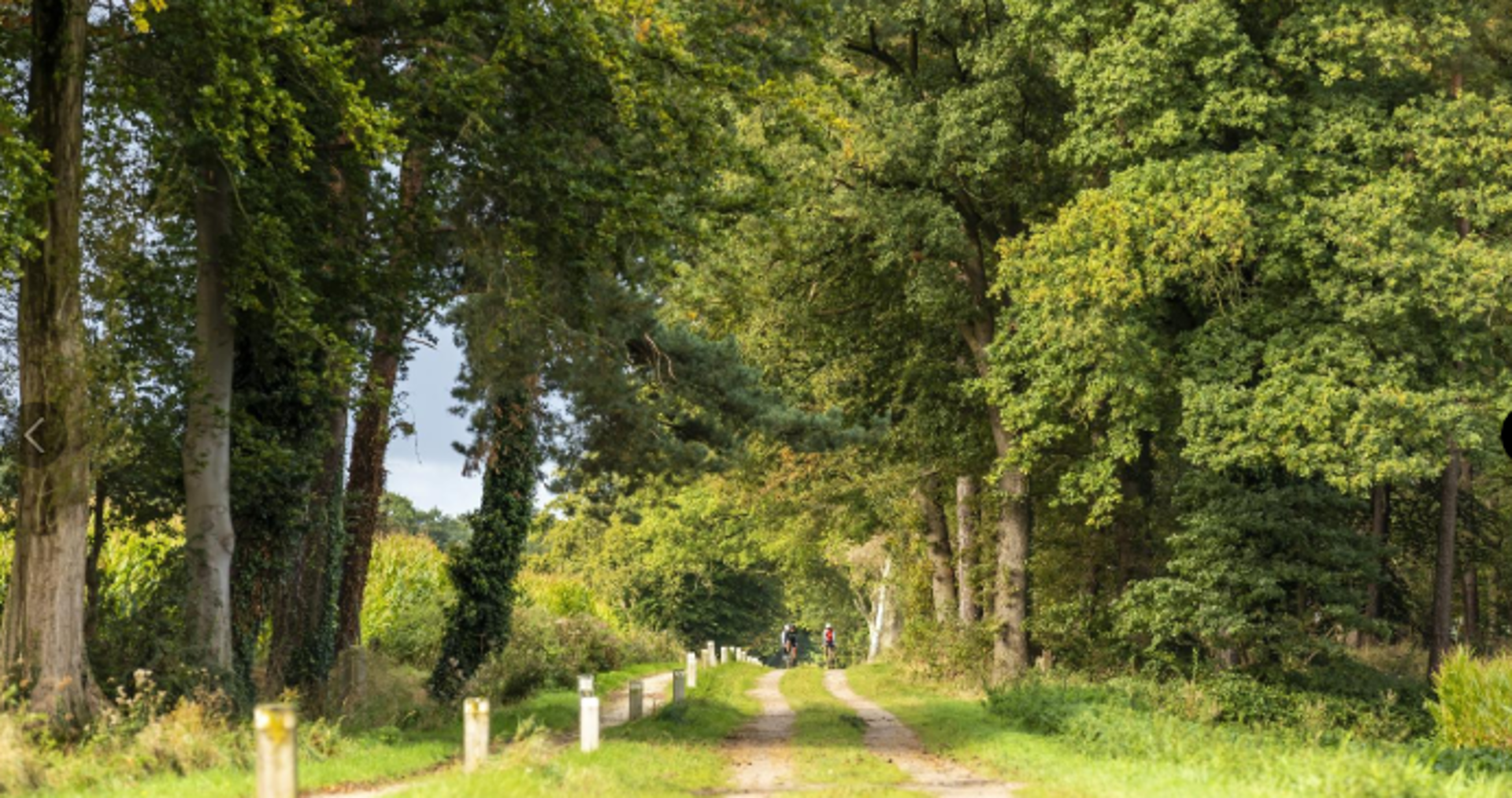AVIKO Gravel Kruisbergtocht 2027