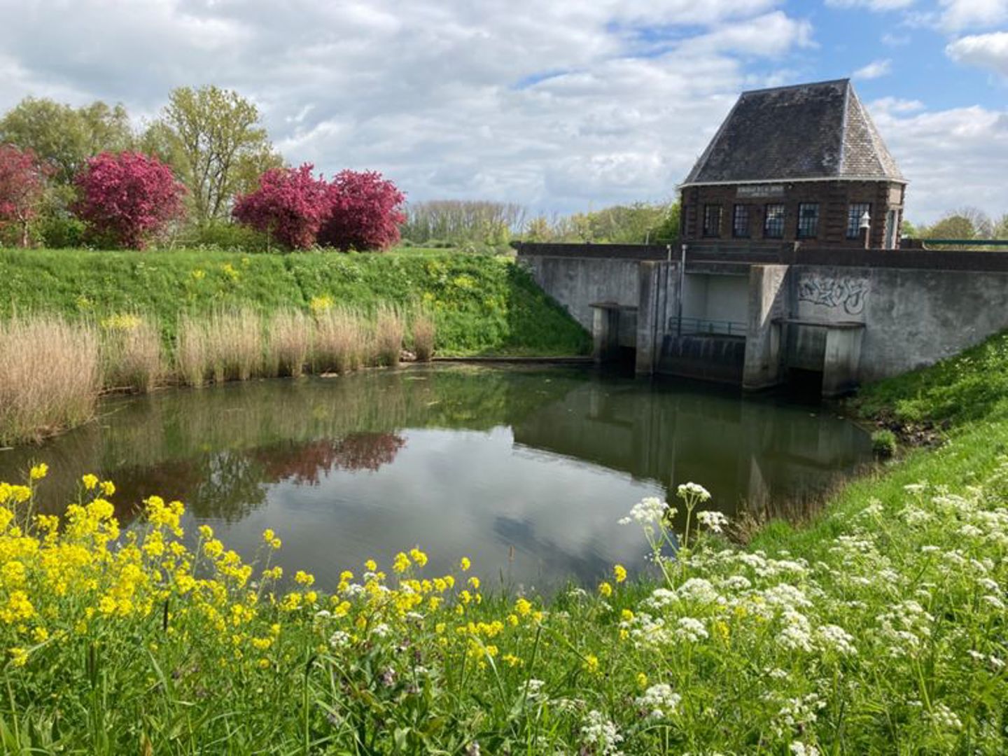Bommelerwaard Rivieren en natuurgebiedentocht