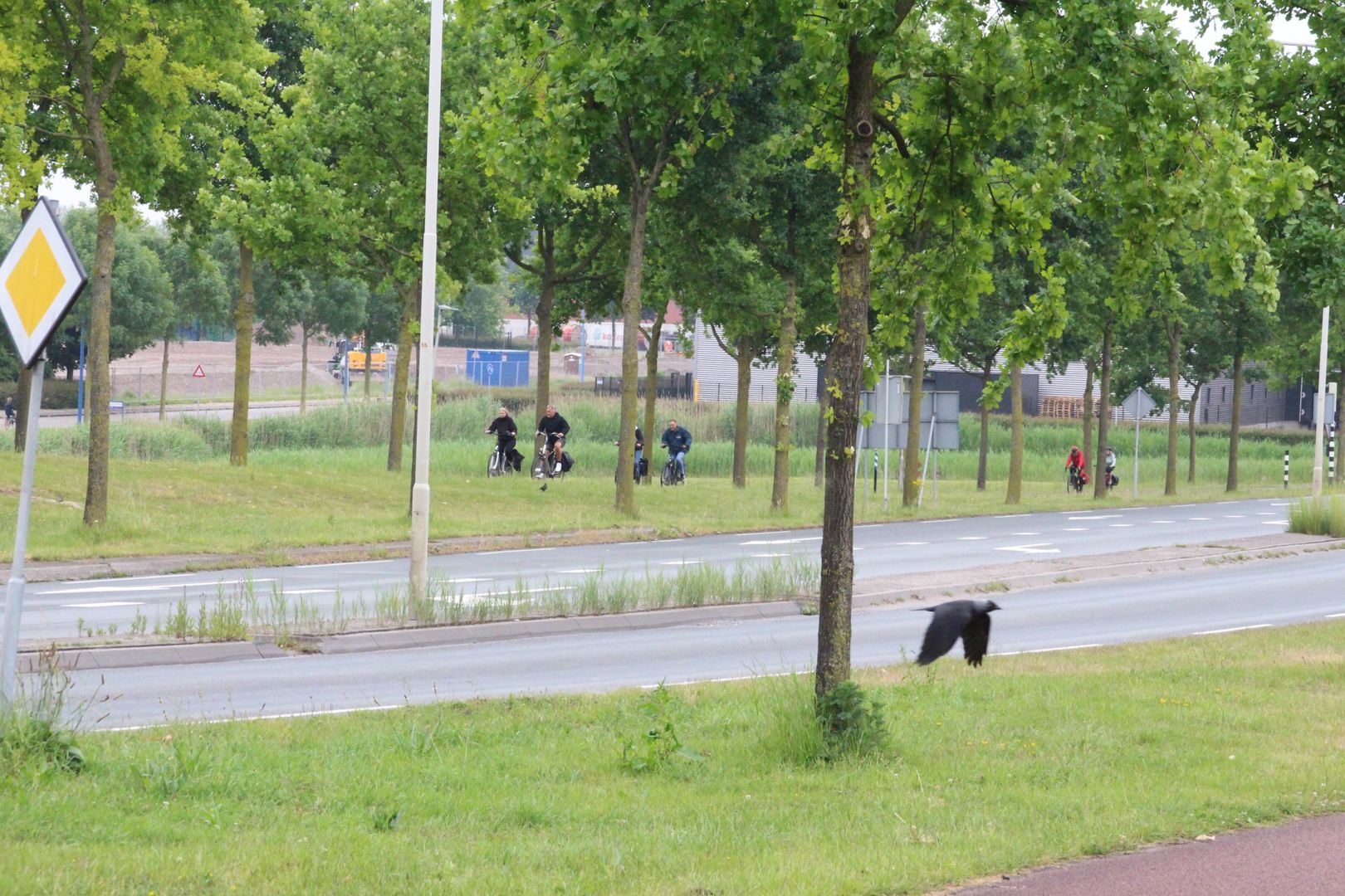 Betuwse Fiets Vierdaagse 2026