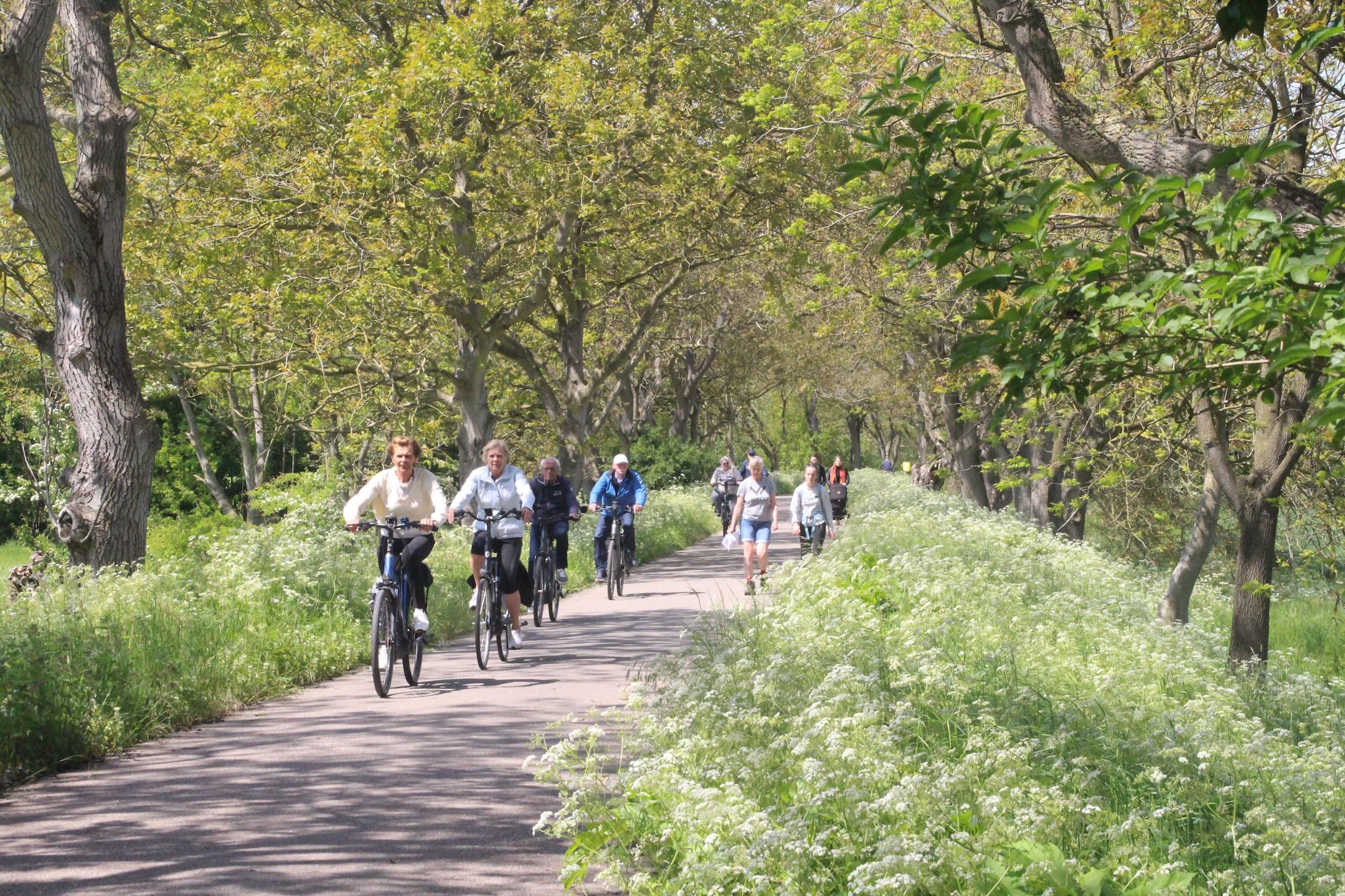 Betuwse Fietsvierdaagse