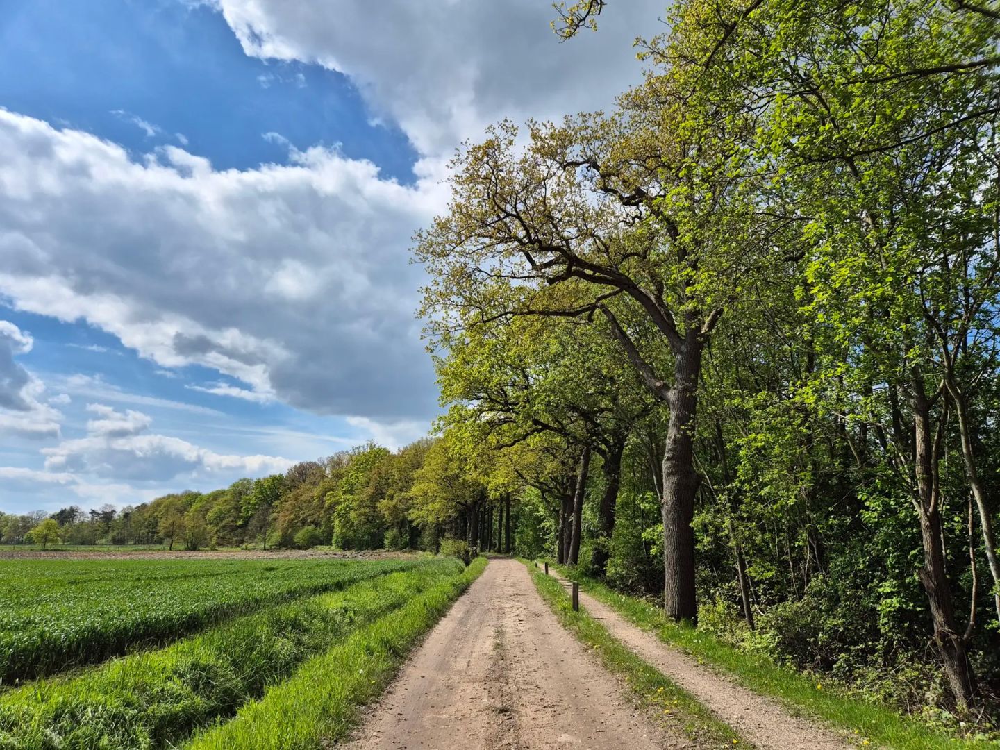 Coulissenlandschap Gravel Ride 2025