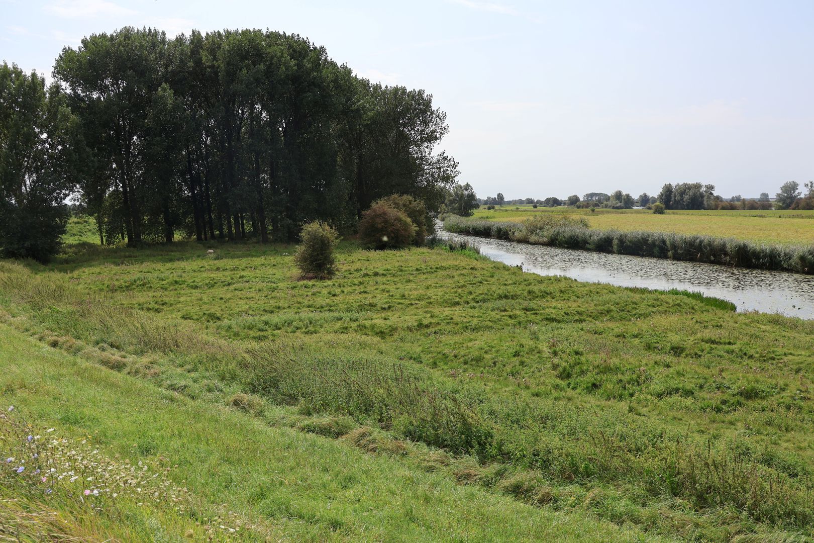 Dijk van een Tocht