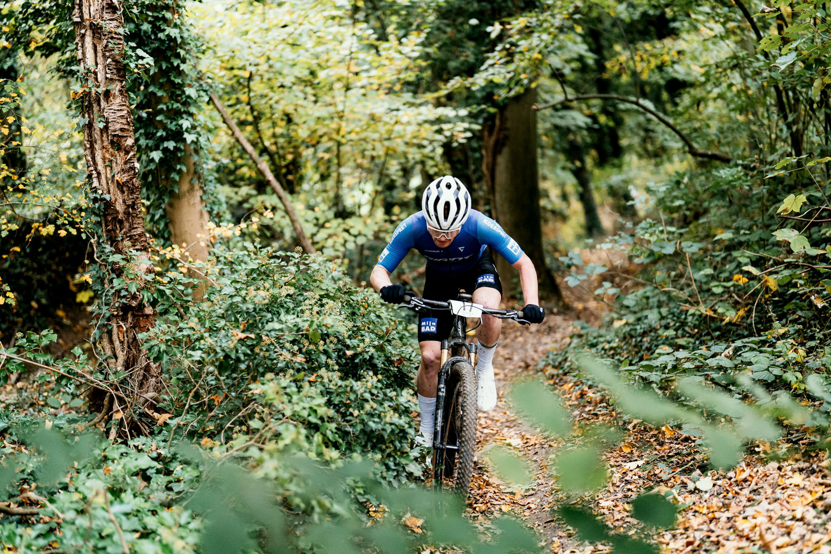 Hammerstone MTB Marathon 2026