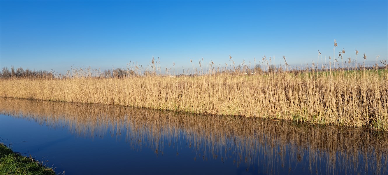 De Ronde Venen Route 2023