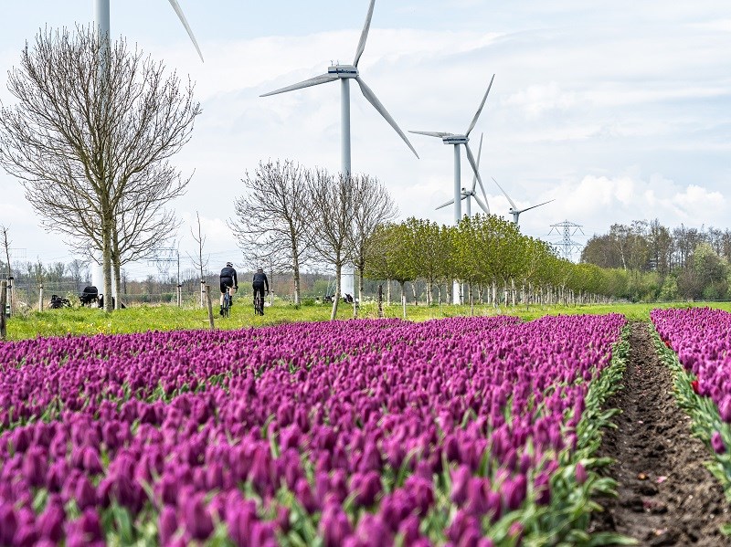 Keren langs de Meren