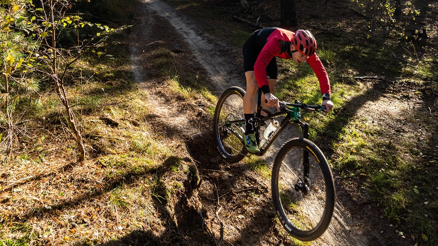 Loonse en Drunense Duinen