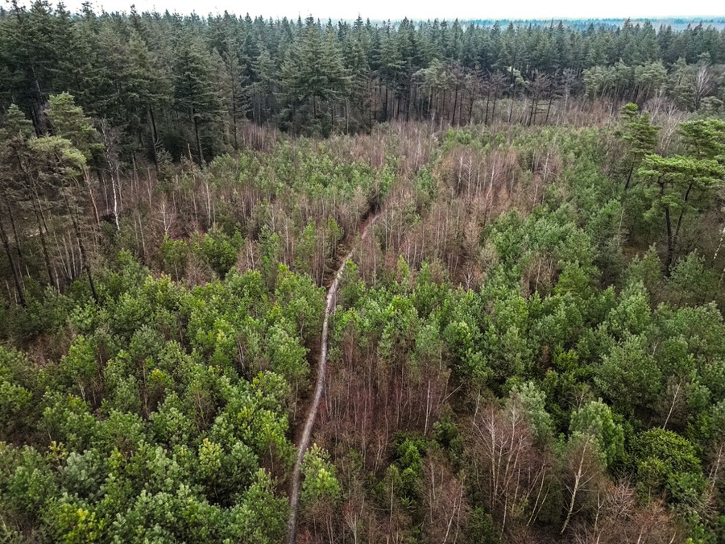 MTB-route Hellendoorn