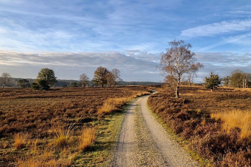 Gravelfeest op de Veluwe