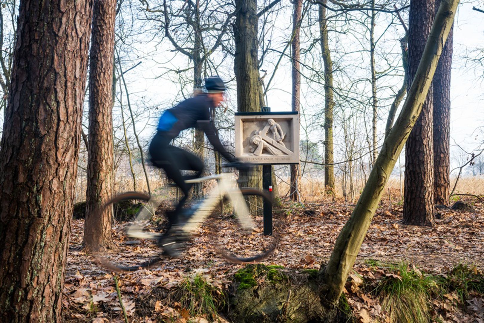 Tussen Helvoirt en Hemelrijk 130 km