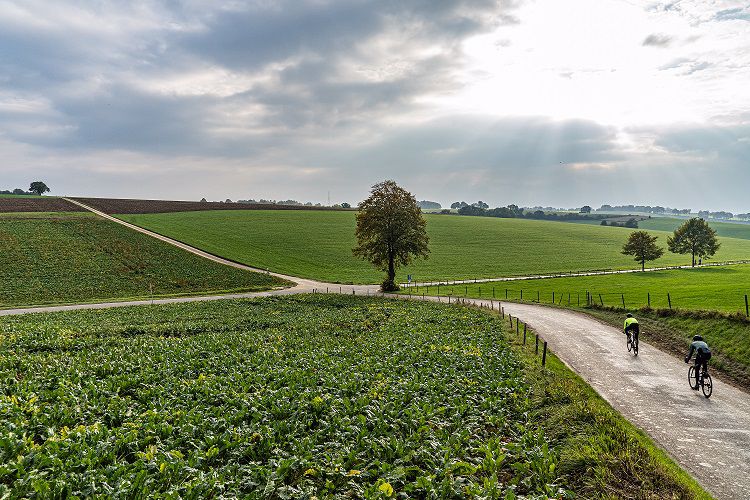 Limburg Alternatief - Noord