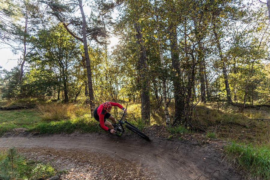 Loonse en Drunense Duinen