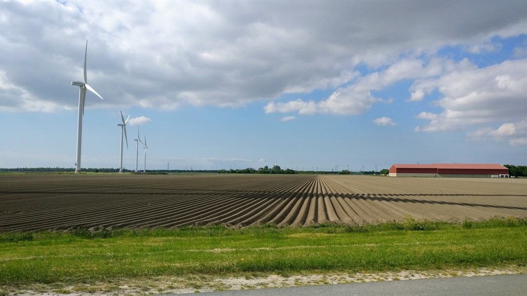 Groen Rondje Midden-Flevoland