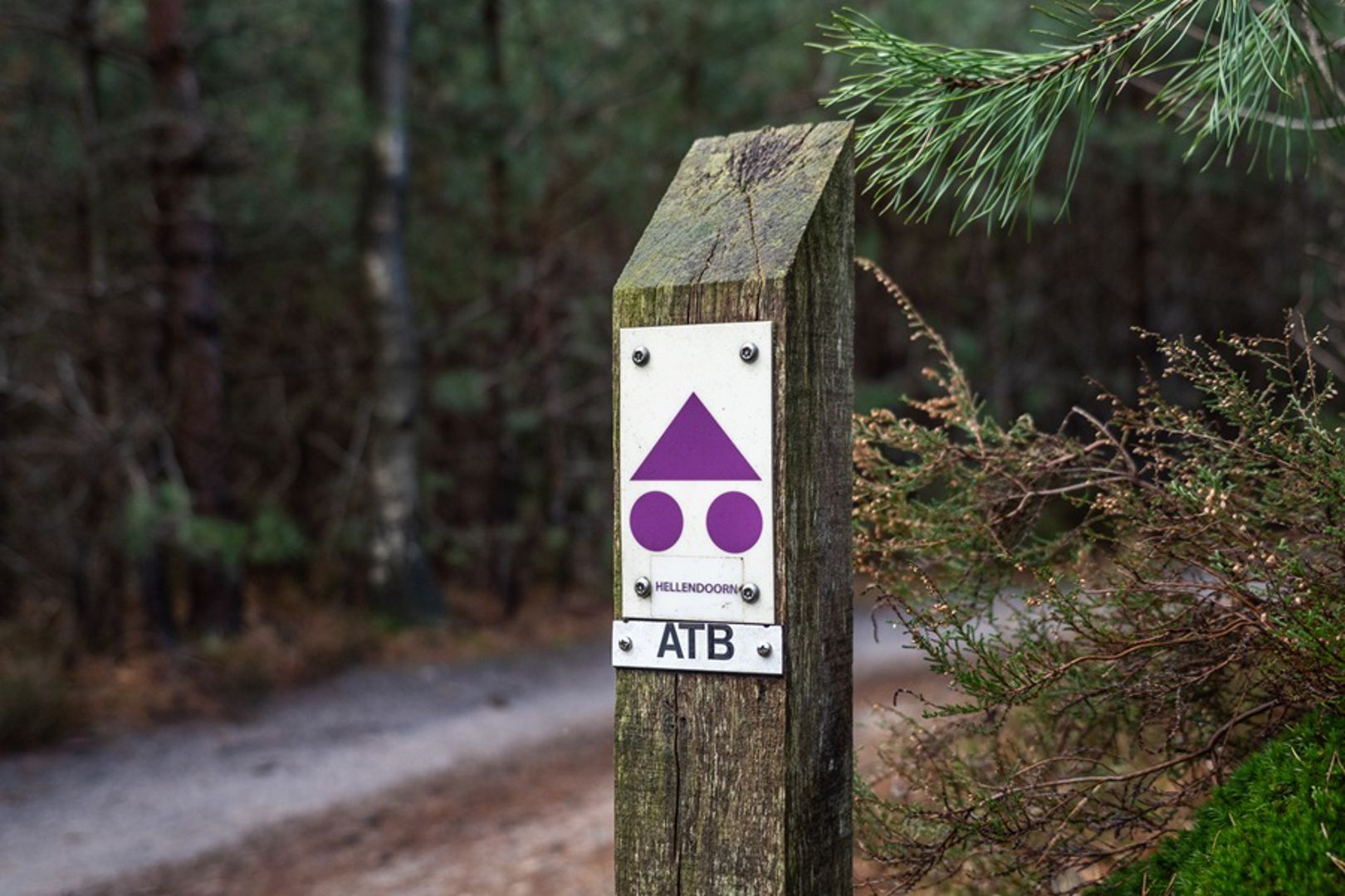 MTB-route Hellendoorn
