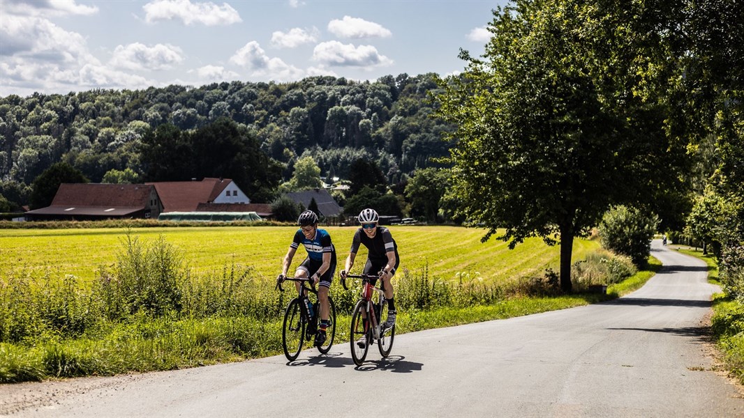 Teutoburgerwald kuitenbijters