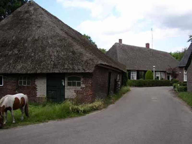 Stuiven langs de Loonse en Drunense Duinen