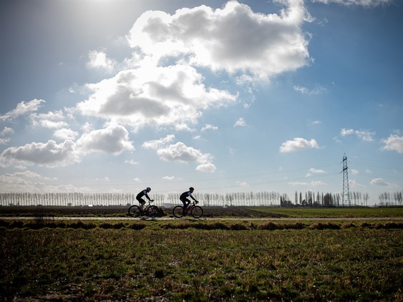 Zeeuwse kasseien en de Westerschelde