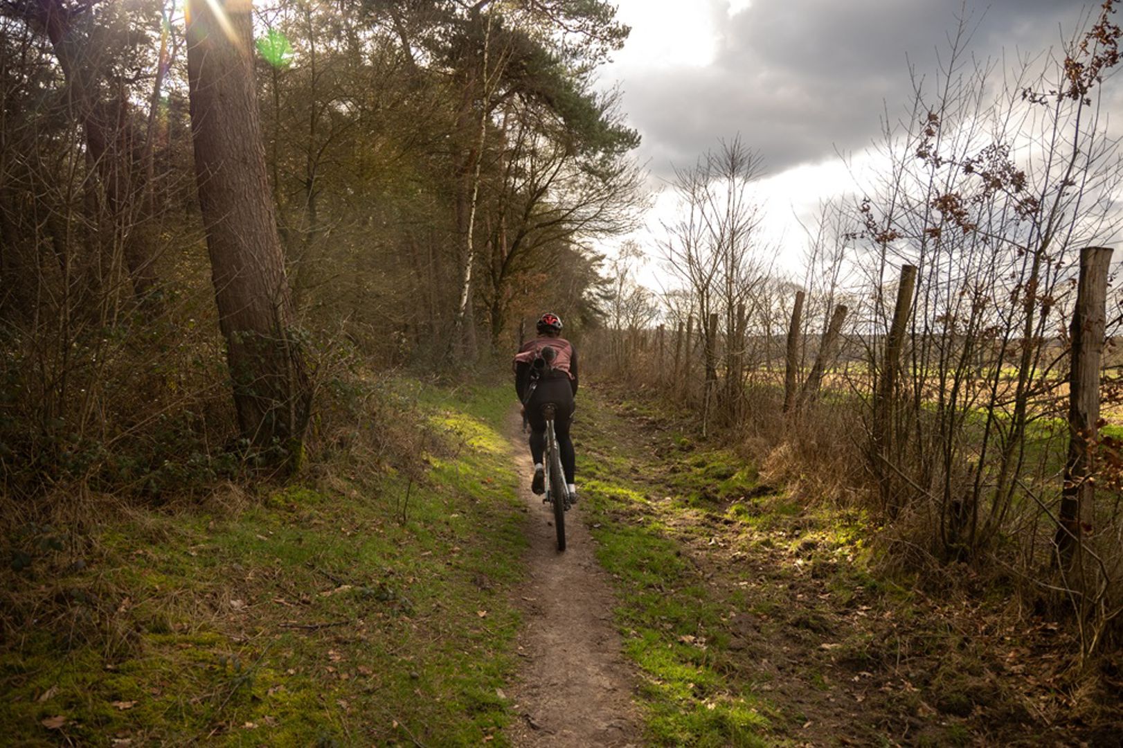 Het Ruige Reichswald