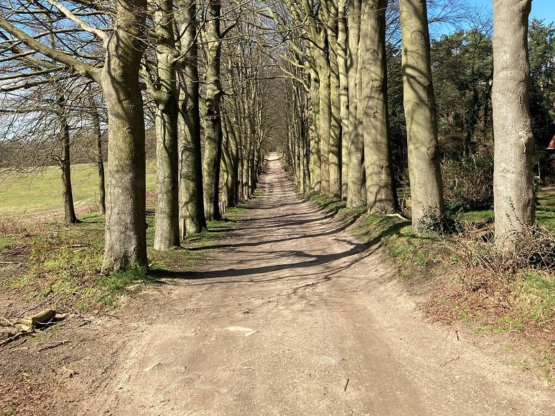 Kilometers vreten op de Utrechtse Heuvelrug