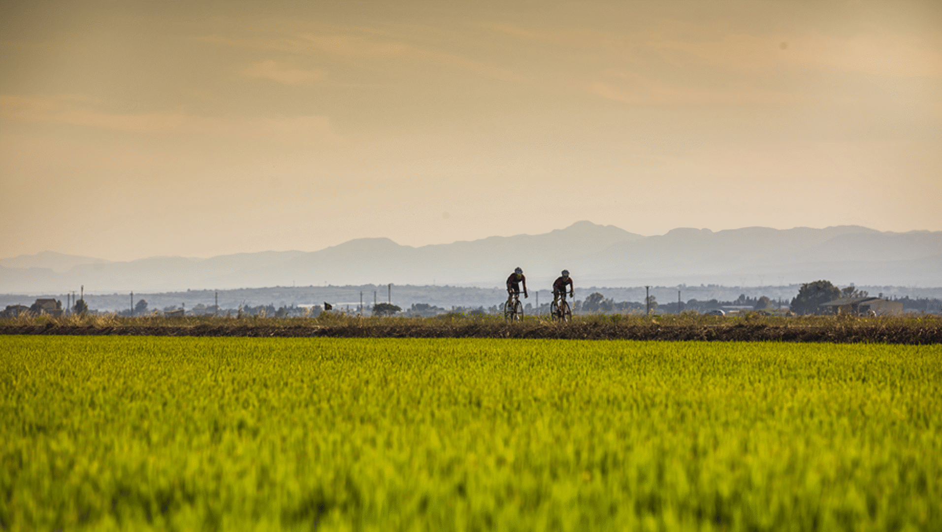 De Terres de l’Ebre, een biosfeerreservaat