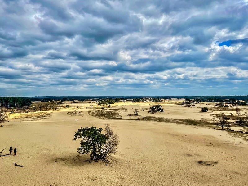 Stuiven langs de Loonse en Drunense Duinen