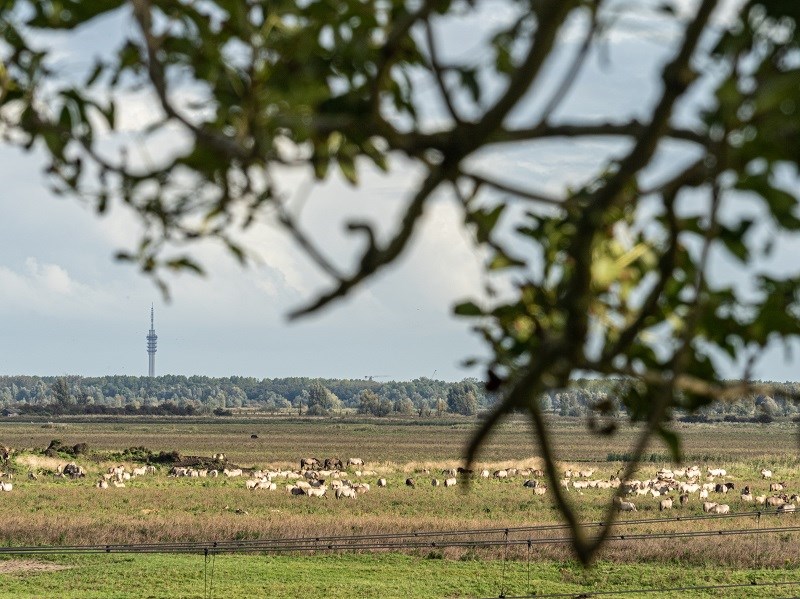 Oostvaarderstrappen