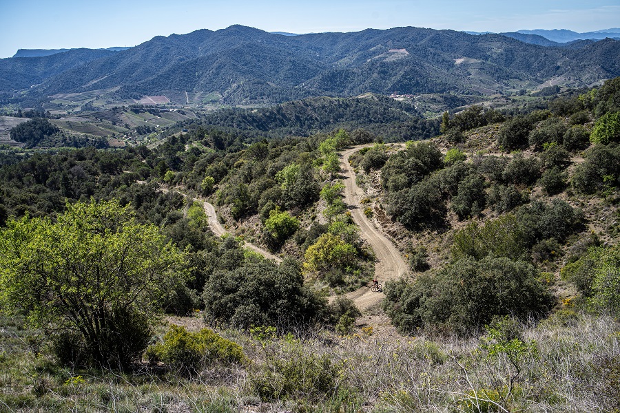 Priorat