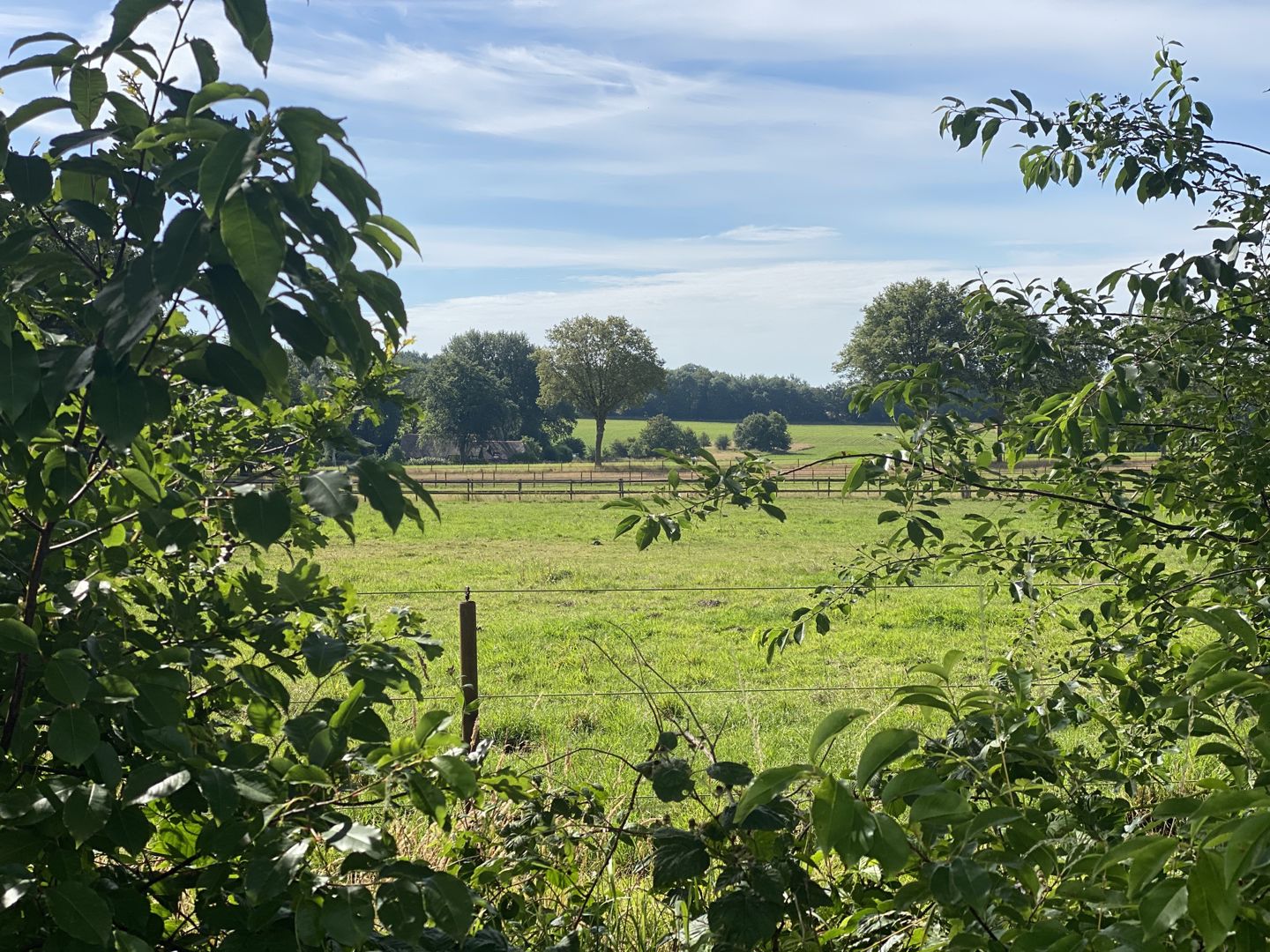 Rondje Friesland