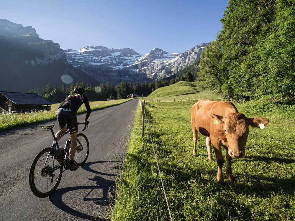 Over de Alpencols van Vaud