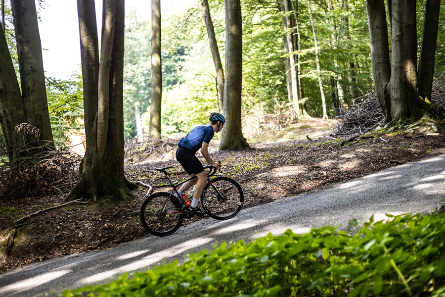 Teutoburgerwald kuitenbijters