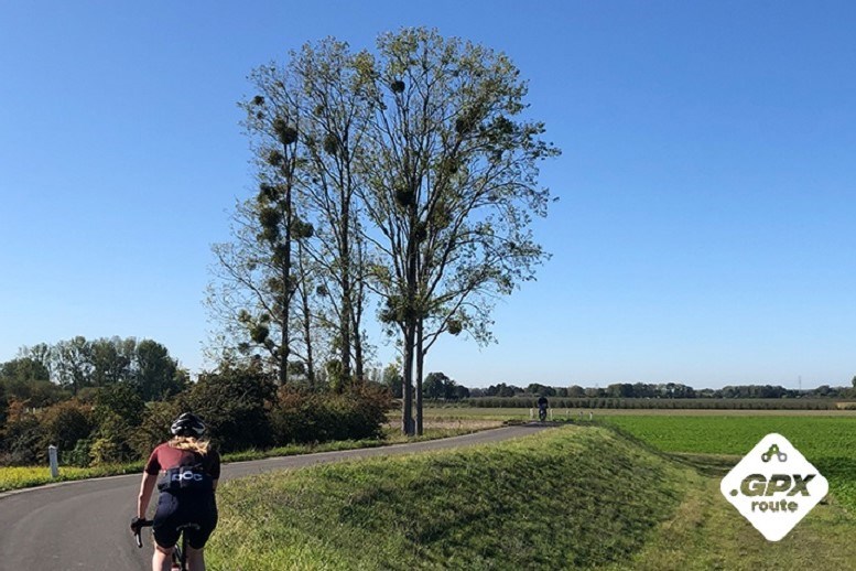 Slingerend door het Maasland