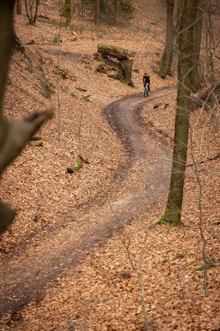 Het Ruige Reichswald