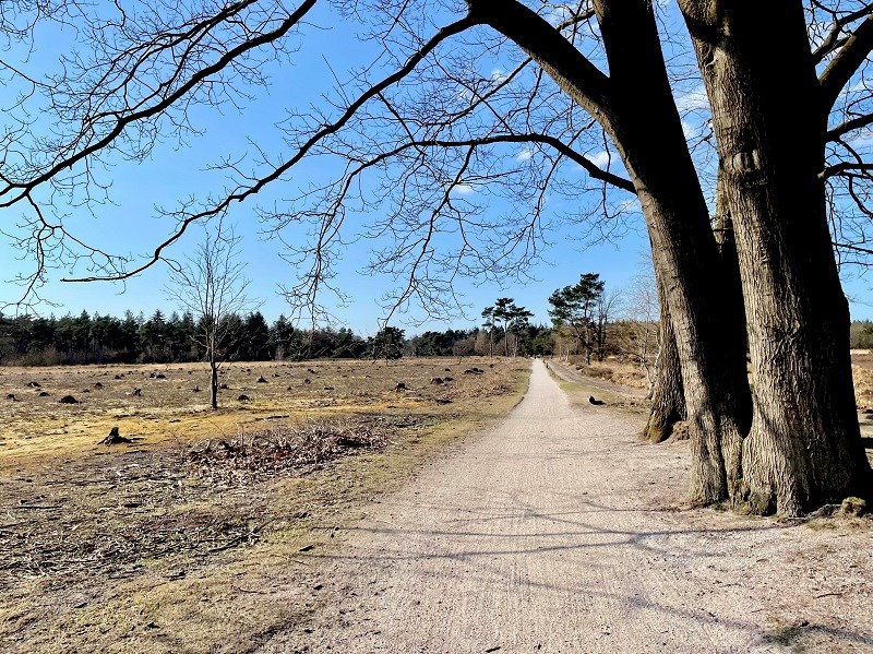 Laagvliegen over heide en heuvels