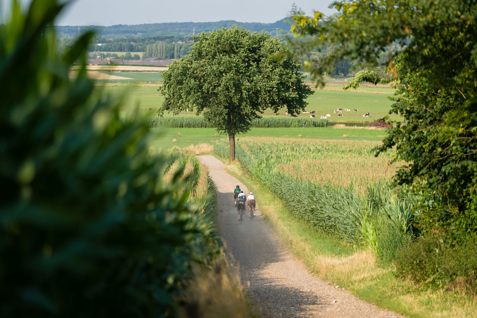Route WK Gravel 2025 in Zuid-Limburg