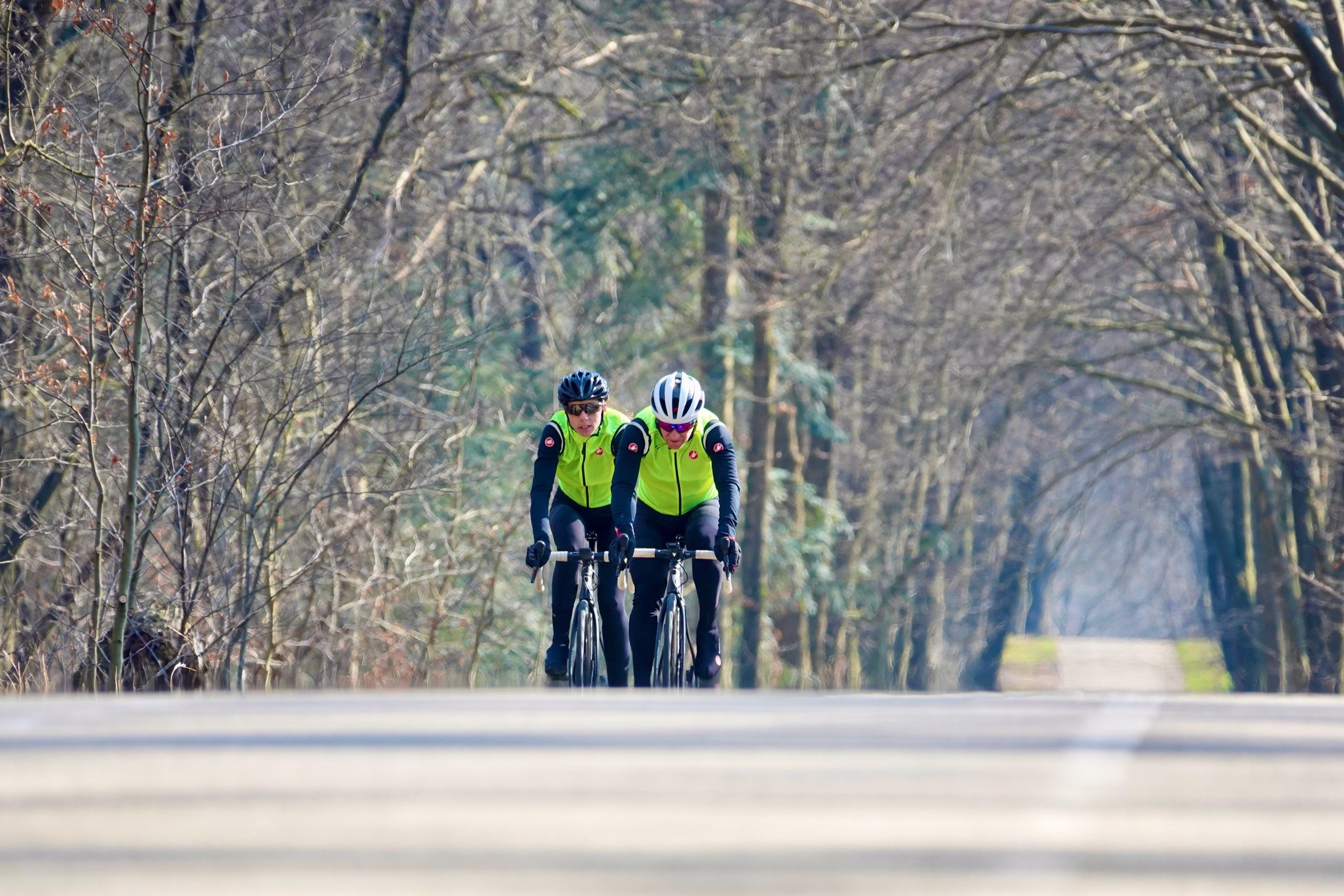 Heuvelen op de Heuvelrug