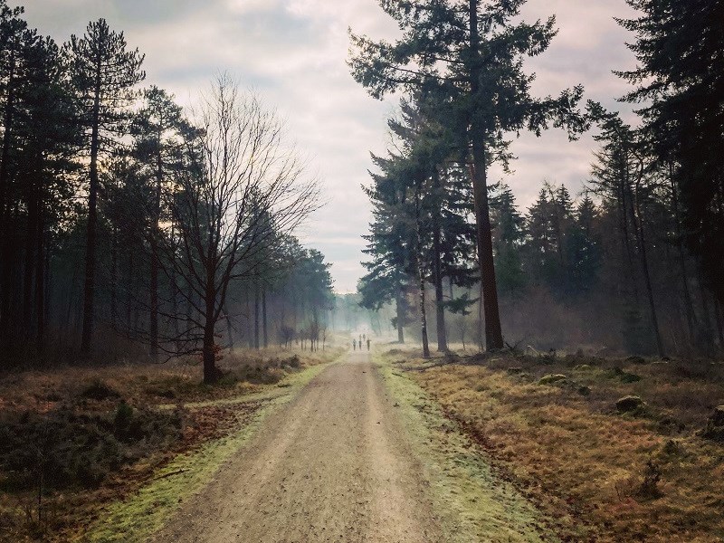 Hoogtemeters pakken op de Heuvelrug