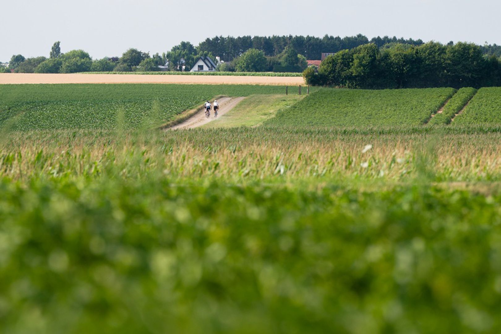 Route WK Gravel 2025 in Zuid-Limburg