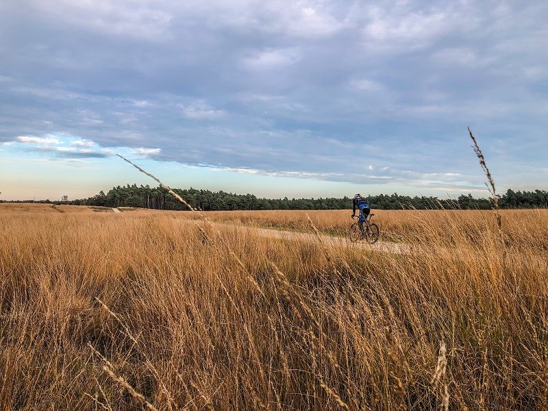 Struinen door de Maasduinen