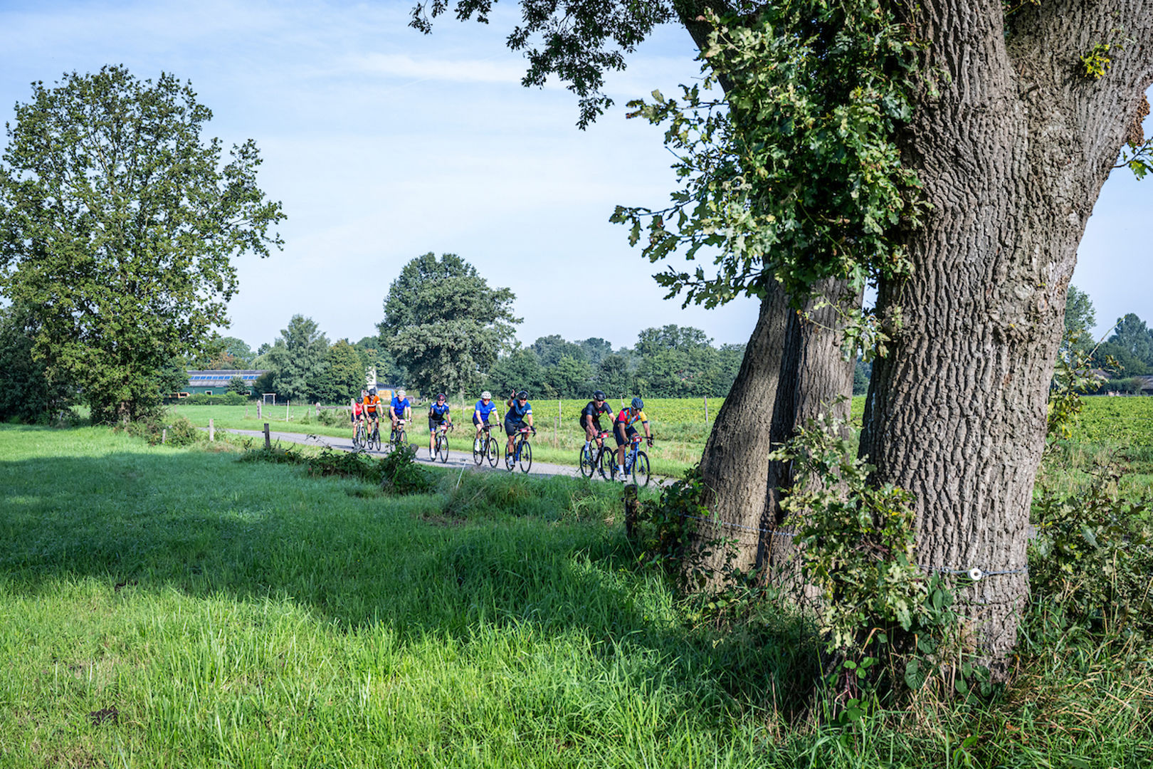 Toerversie La Vuelta Breda